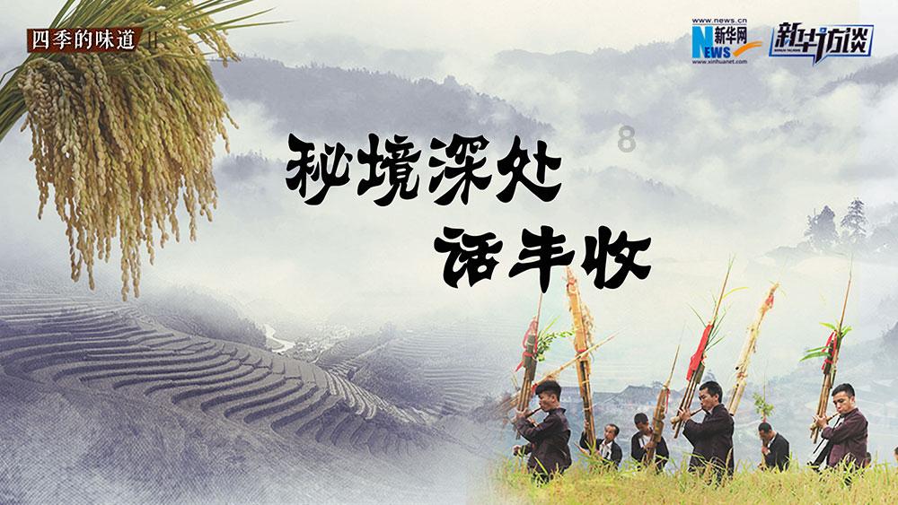 最美的校园女生74