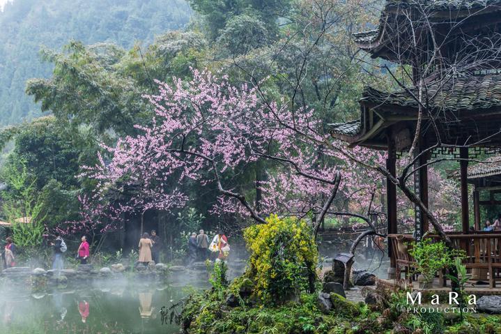 中国发布丨流感何时传染性最强？南北跨区域旅行如何避免呼吸道感染？专家解答-中国网