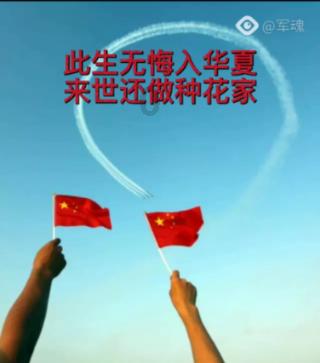 芭蕉插在古树上——歇后语？游戏画面